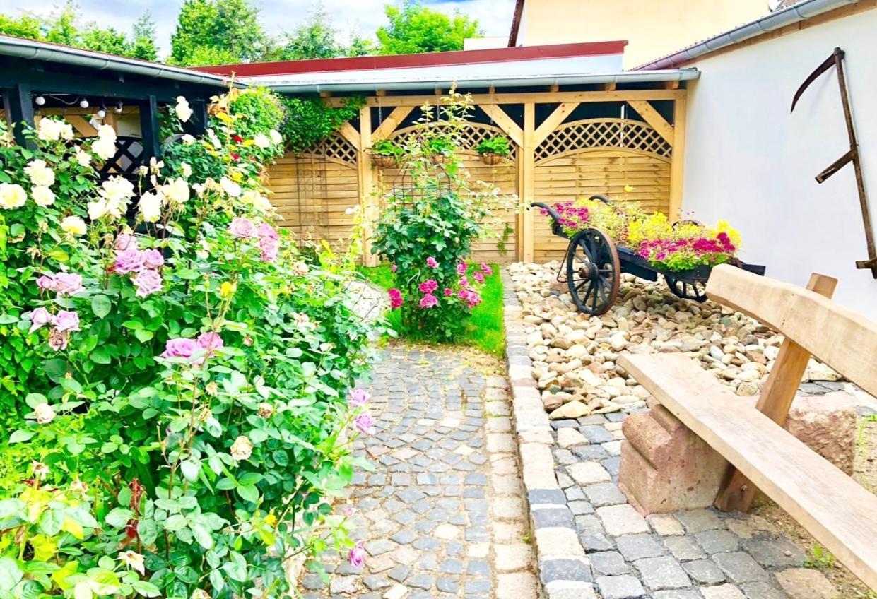 Ferienwohnungen Grimma 3 Kültér fotó